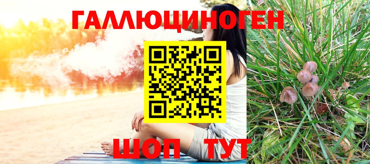 Воткинск  Псилоцибиновые грибы MAGIC MUSHROOMS  Вход с VPN  купить наркоту  Галлюциногенные грибы GOLDEN TEACHER 